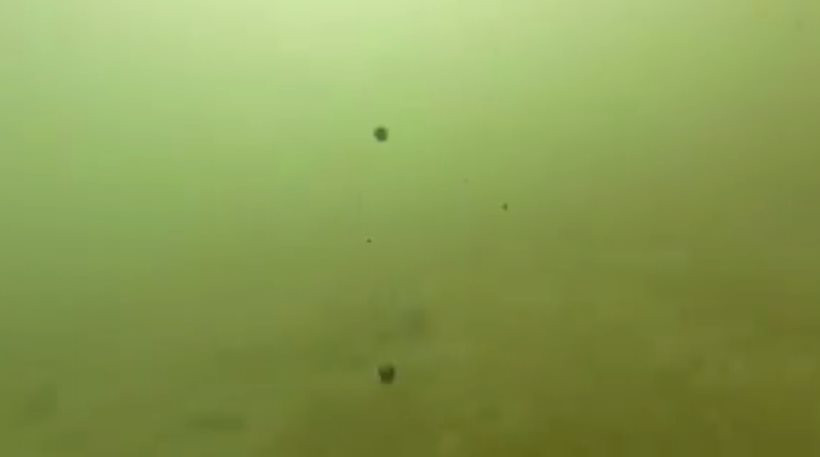 Κομμάτια μαζούτ στο βυθό της θάλασσας – Δείτε βίντεο του δημάρχου Γλυφάδας